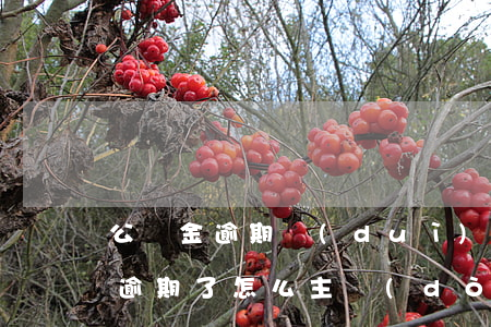 公積金逾期對(duì)公還款(住房公積金逾期了,怎么主動(dòng)還款)