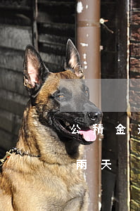 公積金逾期律師發(fā)通知(公積金逾期兩天)