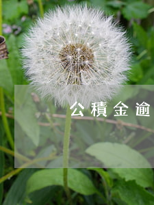 公積金逾期查詢 公積金逾期查詢電話