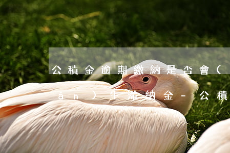 公積金逾期繳納是否會(huì)產(chǎn)生滯納金-公積金逾期繳納是否會(huì)產(chǎn)生滯納金呢