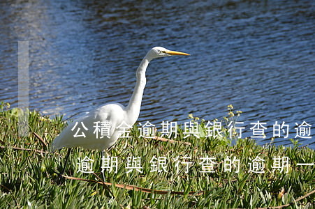 公積金逾期與銀行查的逾期一樣嗎-公積金逾期與銀行查的逾期一樣嗎怎么辦