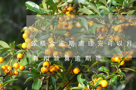 公積金逾期處理完可以月沖嗎(公積金對沖沒有扣款算逾期嗎)