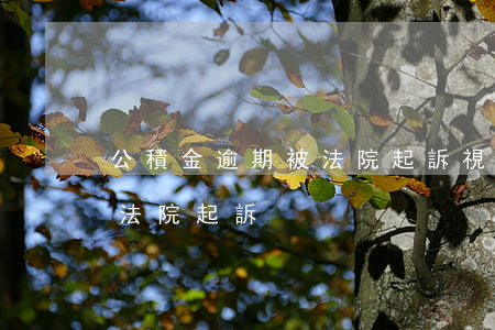 公積金逾期被法院起訴視頻(公積金逾期多久法院起訴)