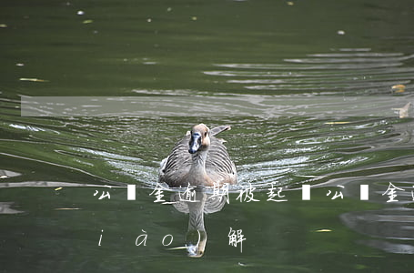 公積金逾期被起訴(公積金逾期被起訴調(diào)解)