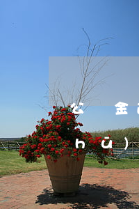 公積金逾期被起訴寫(xiě)保證書(shū)