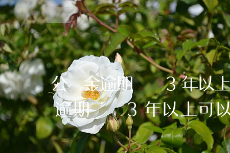 公積金逾期記錄3年以上可以用嗎-公積金逾期記錄3年以上可以用嗎怎么查