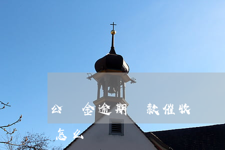 公積金逾期貸款催收計劃(公積金還貸逾期該怎么辦)