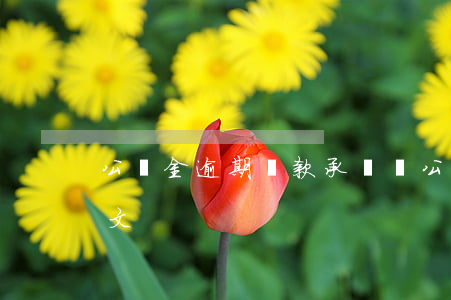 公積金逾期貸款承諾書(公積金貸款承諾書范文)