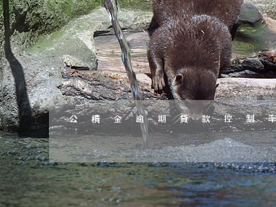 公積金逾期貸款控制率(房貸逾期率)
