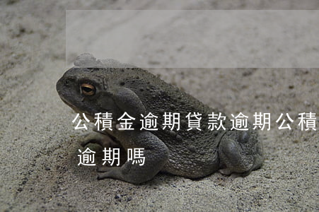公積金逾期貸款逾期(公積金貸款逾期一天算逾期嗎)