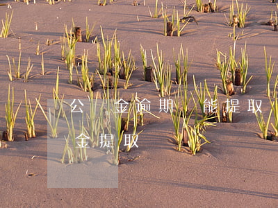 公積金逾期過能提取嗎 公積金逾期影響公積金提取嗎