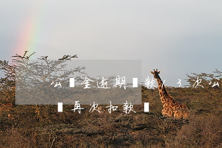 公積金逾期還款13次(公積金還款逾期三天會再次扣款嗎)