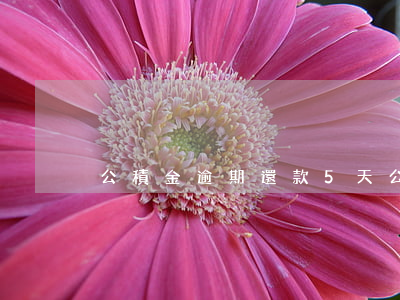 公積金逾期還款5天(公積金逾期還款5天)