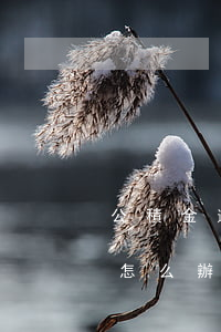 公積金逾期還款了怎么辦(公積金還貸逾期了怎么辦)