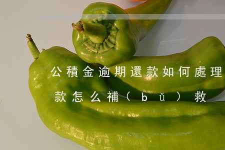 公積金逾期還款如何處理(公積金房貸逾期還款怎么補(bǔ)救)