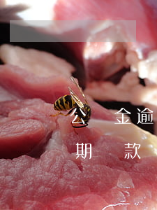 公積金逾期還款對信用影響多大-公積金逾期還款對信用影響多大啊