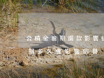 公積金逾期還款影響征信(住房公積金還款逾期多久會影響信譽)
