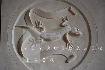 公積金逾期還款怎么處理(住房公積金逾期了怎么還款)