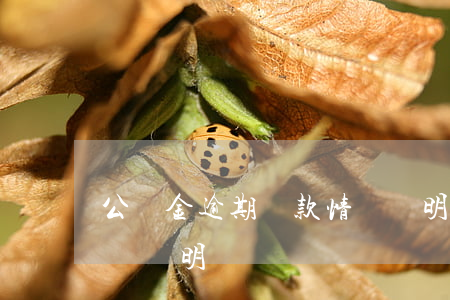 公積金逾期還款情況說明(公積金逾期還款情況說明)