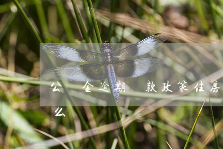 公積金逾期還款政策 住房公積金逾期還款怎么辦