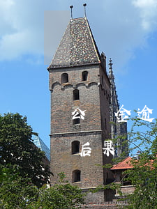 公積金逾期還款有啥影響(公積金逾期還款的后果)