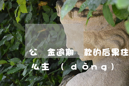公積金逾期還款的后果(住房公積金逾期了,怎么主動(dòng)還款)