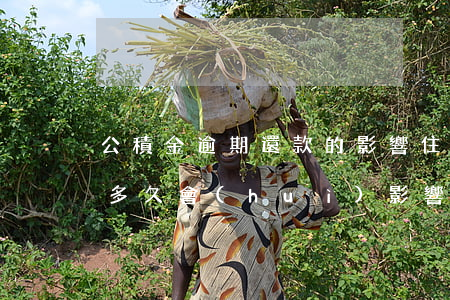 公積金逾期還款的影響(住房公積金還款逾期多久會(huì)影響信譽(yù))