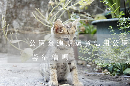 公積金逾期還貸信用 公積金貸款逾期還款影響征信嗎