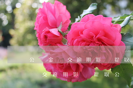 公積金遲交逾期影響提取公積金么-公積金遲交逾期影響提取公積金么