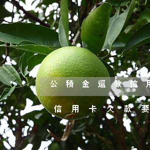 公積金還款信用卡還不起怎么辦(公積金貸款信用卡欠款要還清嗎2020)