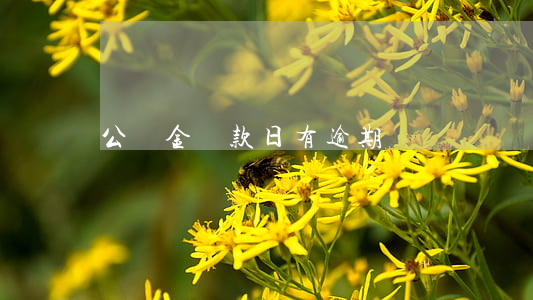 公積金還款日有逾期