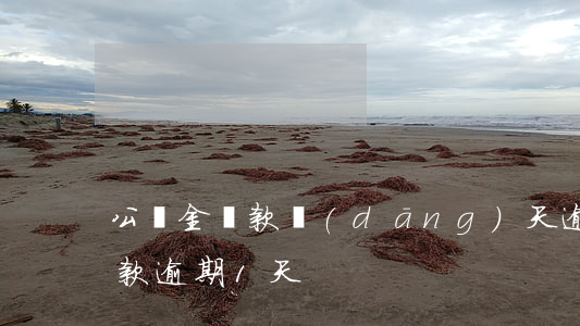 公積金還款當(dāng)天逾期(公積金還款逾期1天)