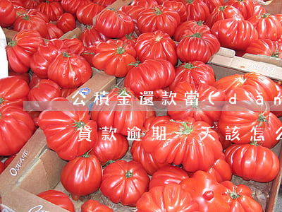 公積金還款當(dāng)日逾期(公積金還貸款逾期一天,該怎么辦)