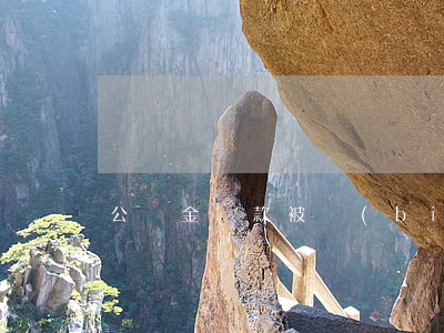 公積金還款被標(biāo)逾期