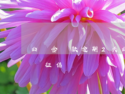 公積金還款逾期2天(公積金還款逾期2天影響征信嗎?)