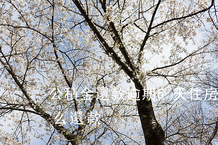 公積金還款逾期5天(住房公積金逾期一天怎么還款)
