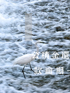 公積金還款逾期一個(gè)月6(公積金還款逾期一個(gè)月6)