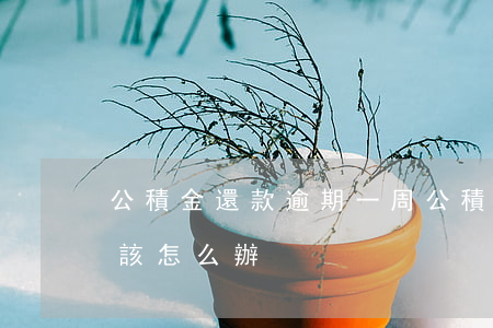 公積金還款逾期一周(公積金還貸款逾期一天,該怎么辦)