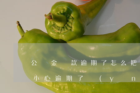 公積金還款逾期了怎么把(公積金還款如果不小心逾期了 應(yīng)該怎么辦?)