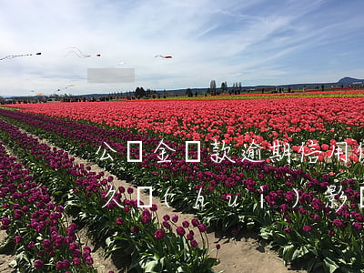 公積金還款逾期信用(住房公積金還款逾期多久會(huì)影響信譽(yù))