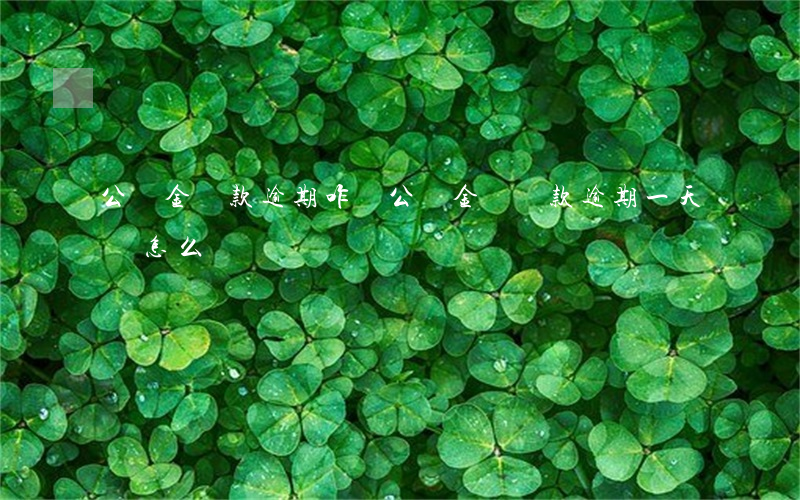 公積金還款逾期咋辦(公積金還貸款逾期一天,該怎么辦)