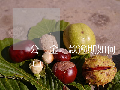 公積金還款逾期如何補(公積金貸款逾期如何申請補繳)