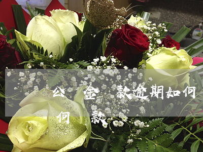 公積金還款逾期如何還款(公積金還款逾期如何還款)