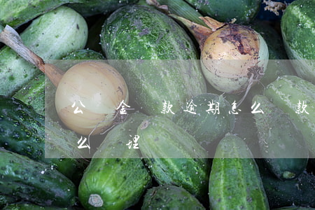 公積金還款逾期怎么還款(公積金還款逾期怎么處理)