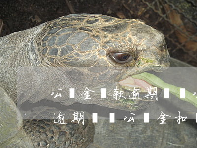 公積金還款逾期會從公積金扣嗎(公積金還款逾期會從公積金扣嗎)