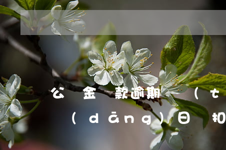 公積金還款逾期狀態(tài)(公積金還款當(dāng)日沒扣成功,造成逾期)