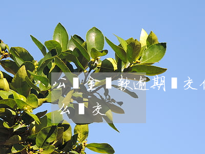 公積金還款逾期補交(住房公積金貸款逾期怎么補交)