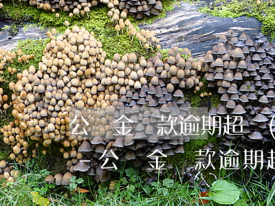 公積金還款逾期超過(guò)三次黑名單-公積金還款逾期超過(guò)三次黑名單能貸款嗎