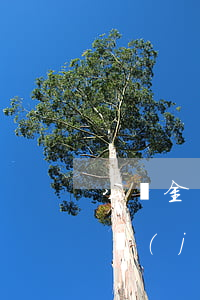 公積金還款銀行代扣逾期(房貸還款公積金已經(jīng)扣除為什么還顯示逾期)