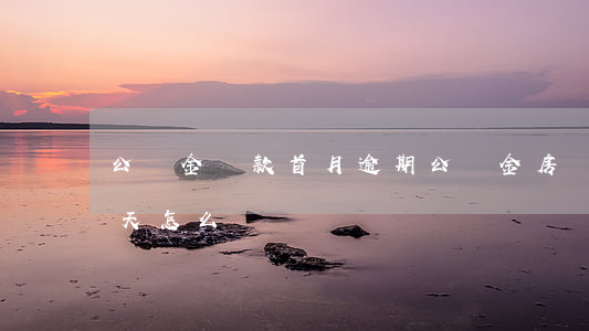 公積金還款首月逾期(公積金房貸還款逾期一天怎么辦)